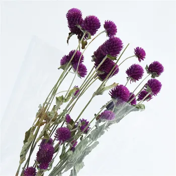 15pcs Vijolično naravne cvetlične šopke posušene gomphrena šopke BREZPLAČNA DOSTAVA